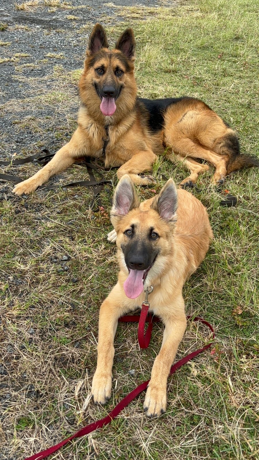 Archie and Kiara